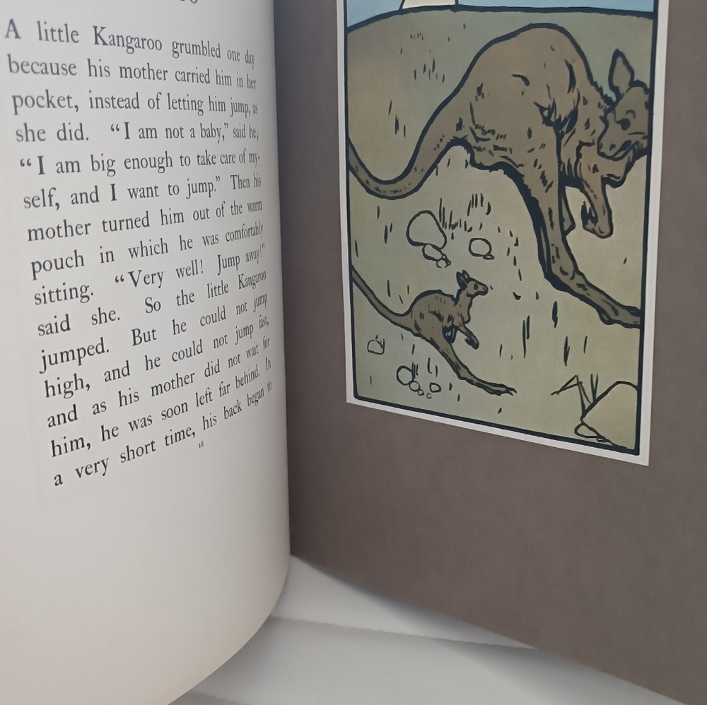 Book - Picture 5 of 8